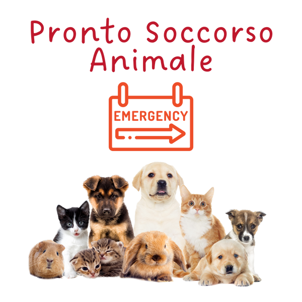 Il mio negozio