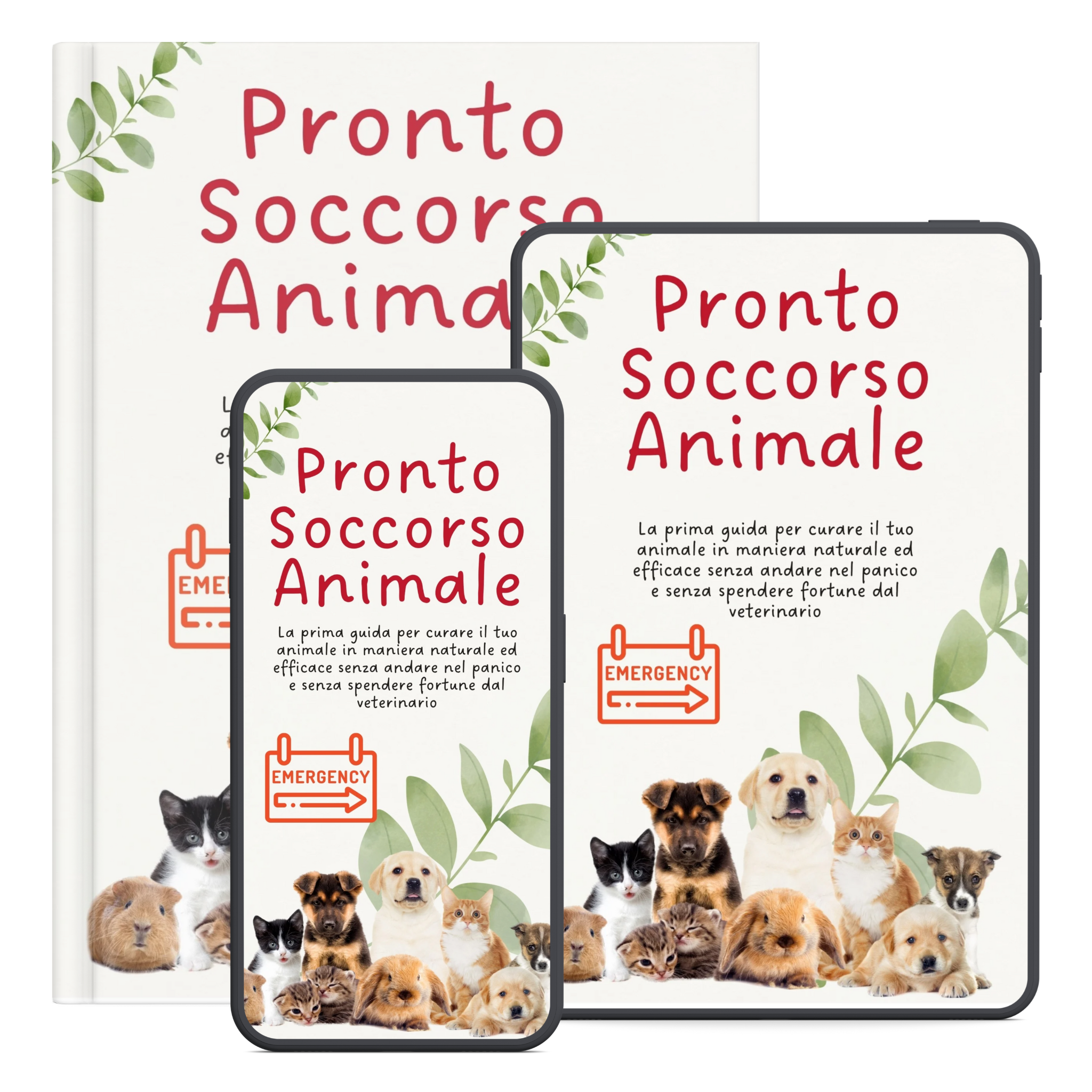 Pronto Soccorso Animale