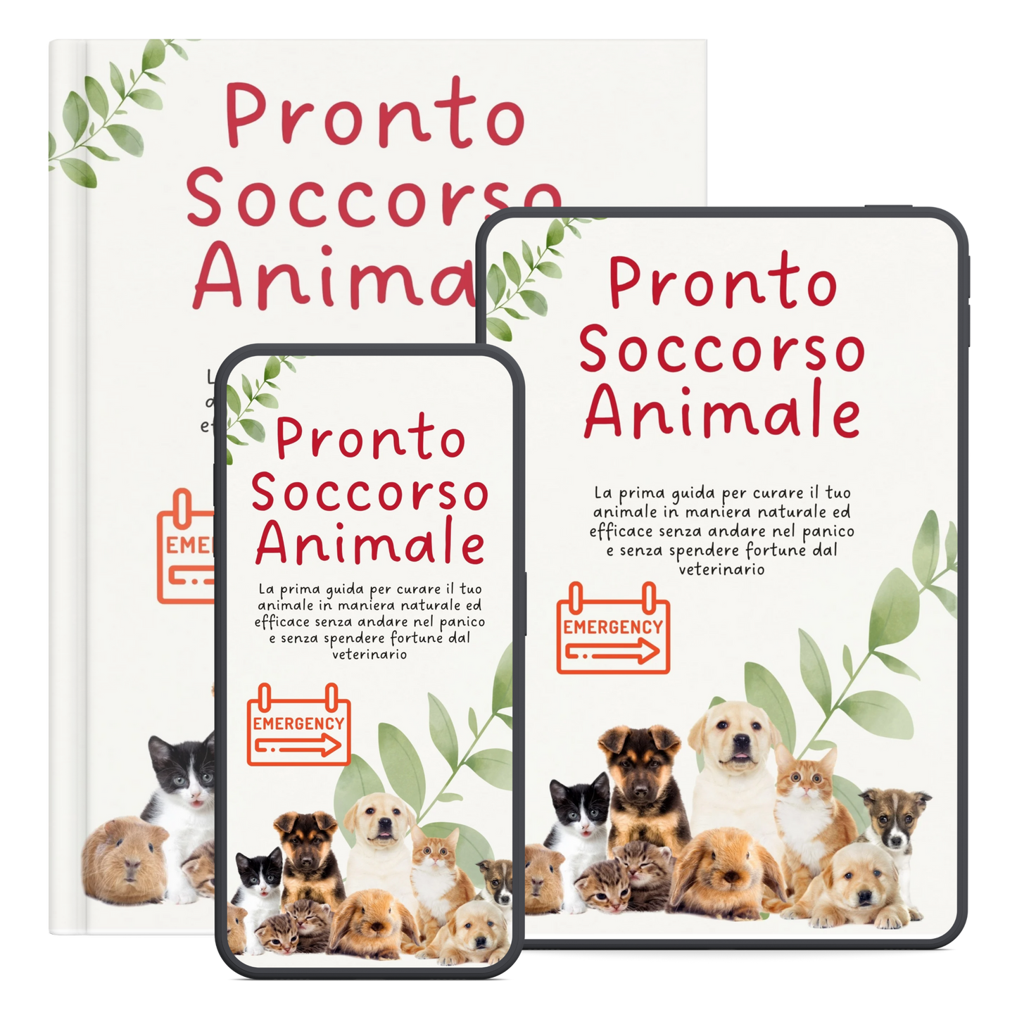 Pronto Soccorso Animale